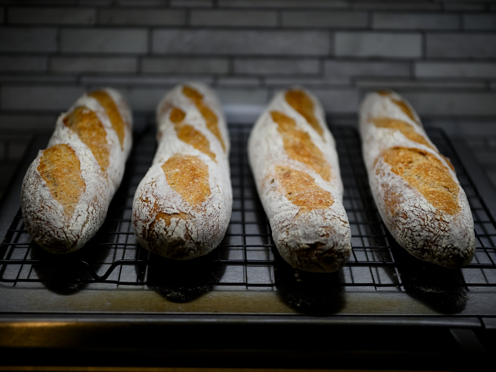 Rustic Harmony — sourdough bake