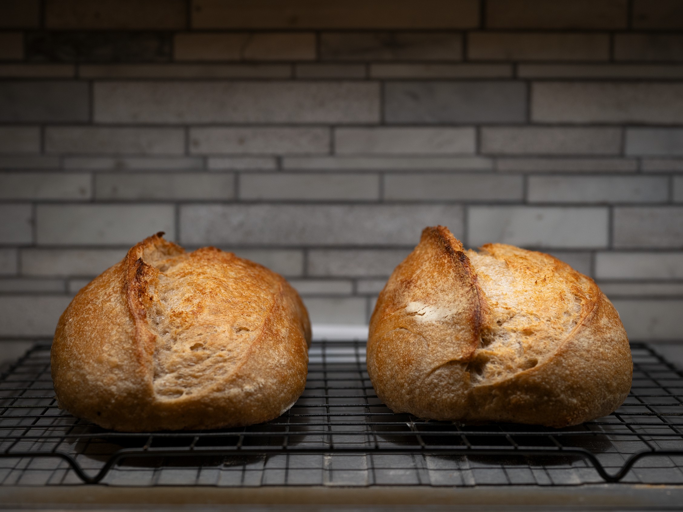 Ears of Resilience — sourdough bake