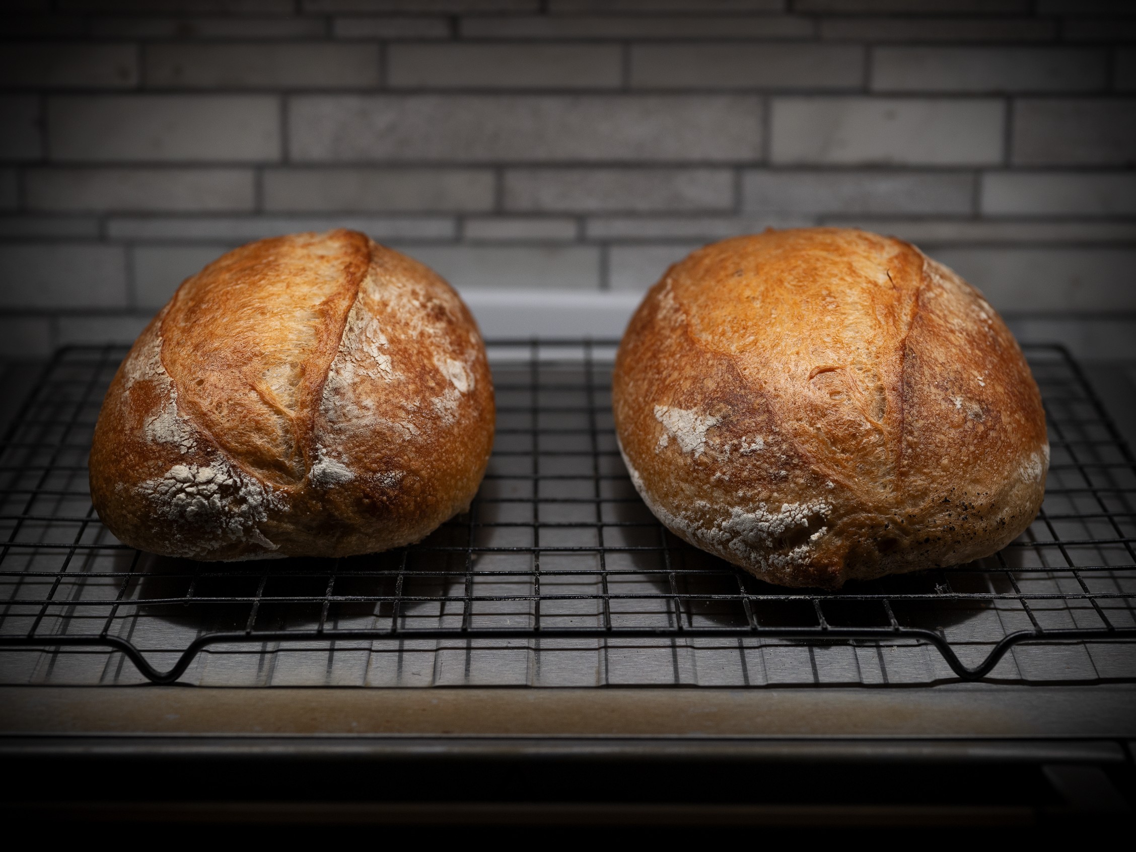 Rustic Duality — sourdough bake