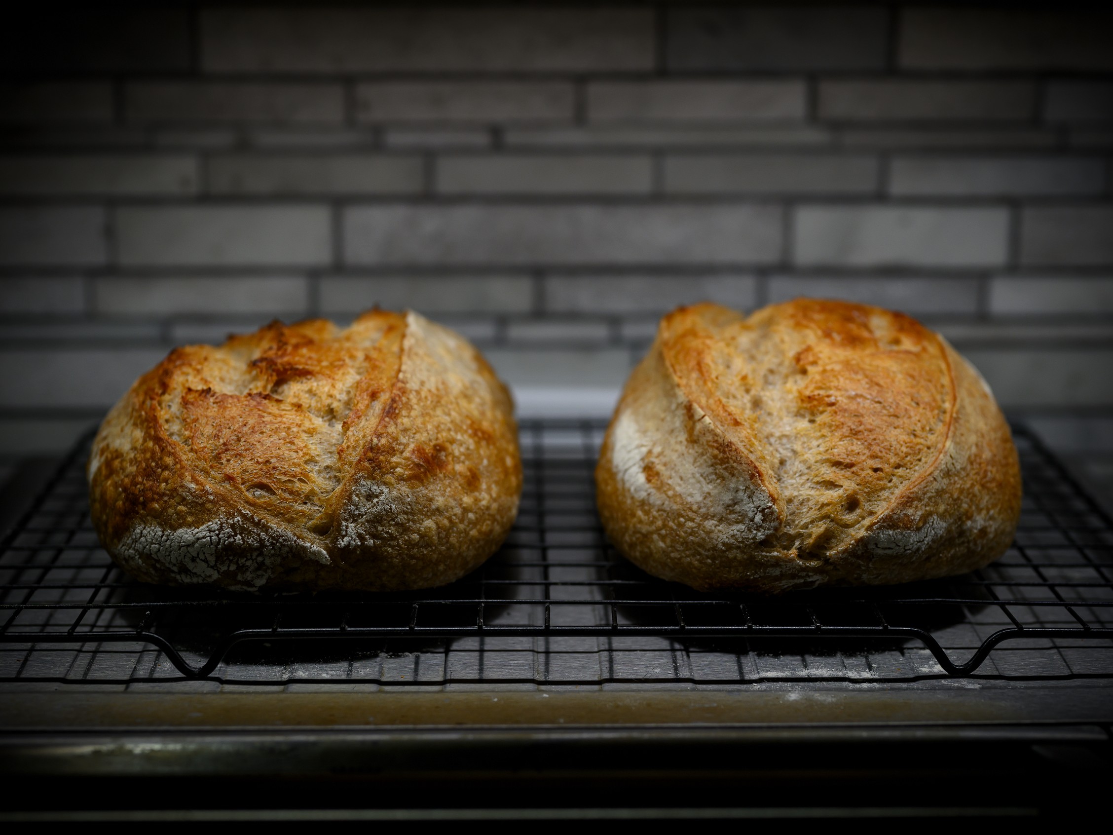 Crusty Companions — sourdough bake
