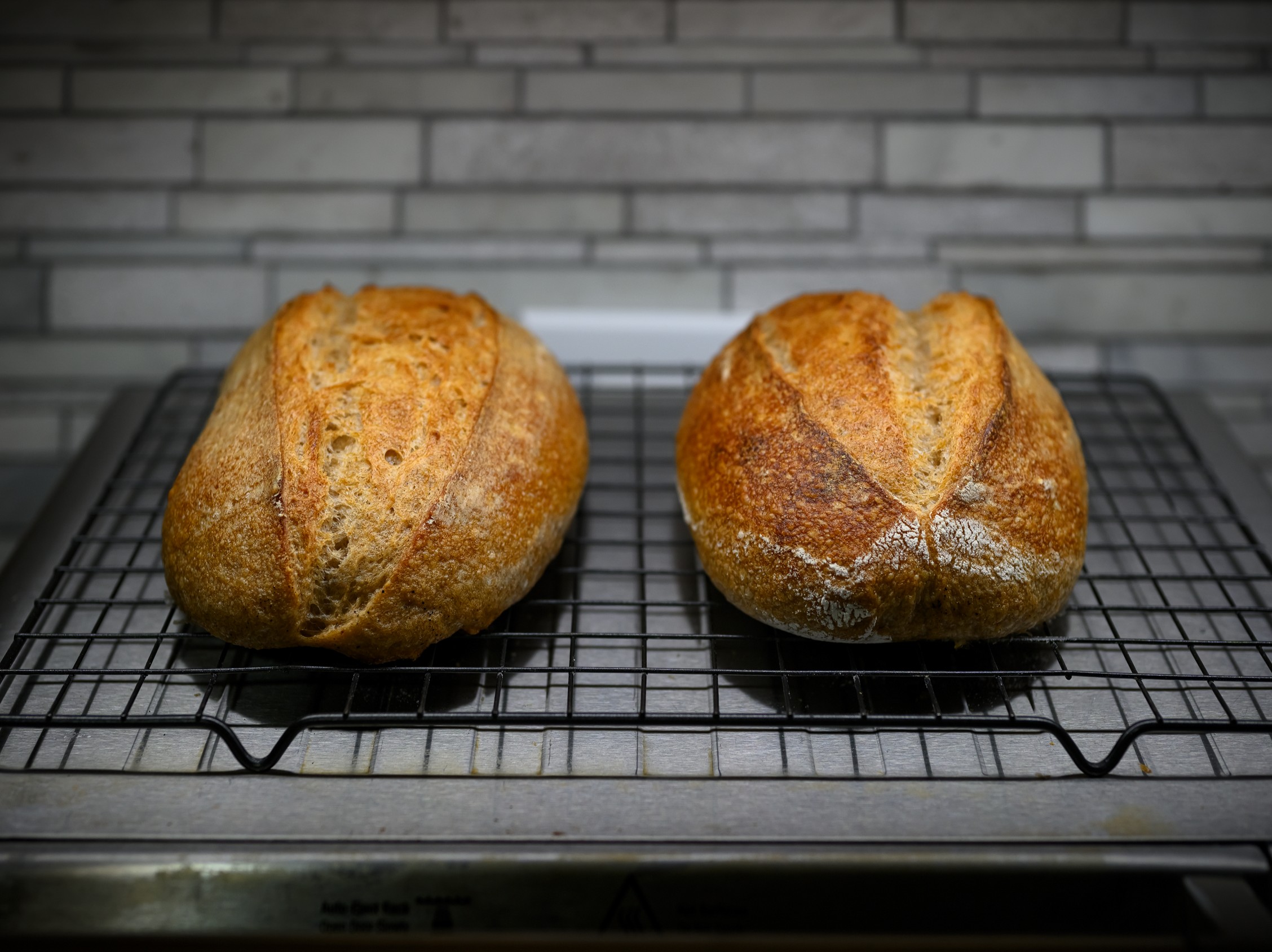 Rustic Balance — sourdough bake