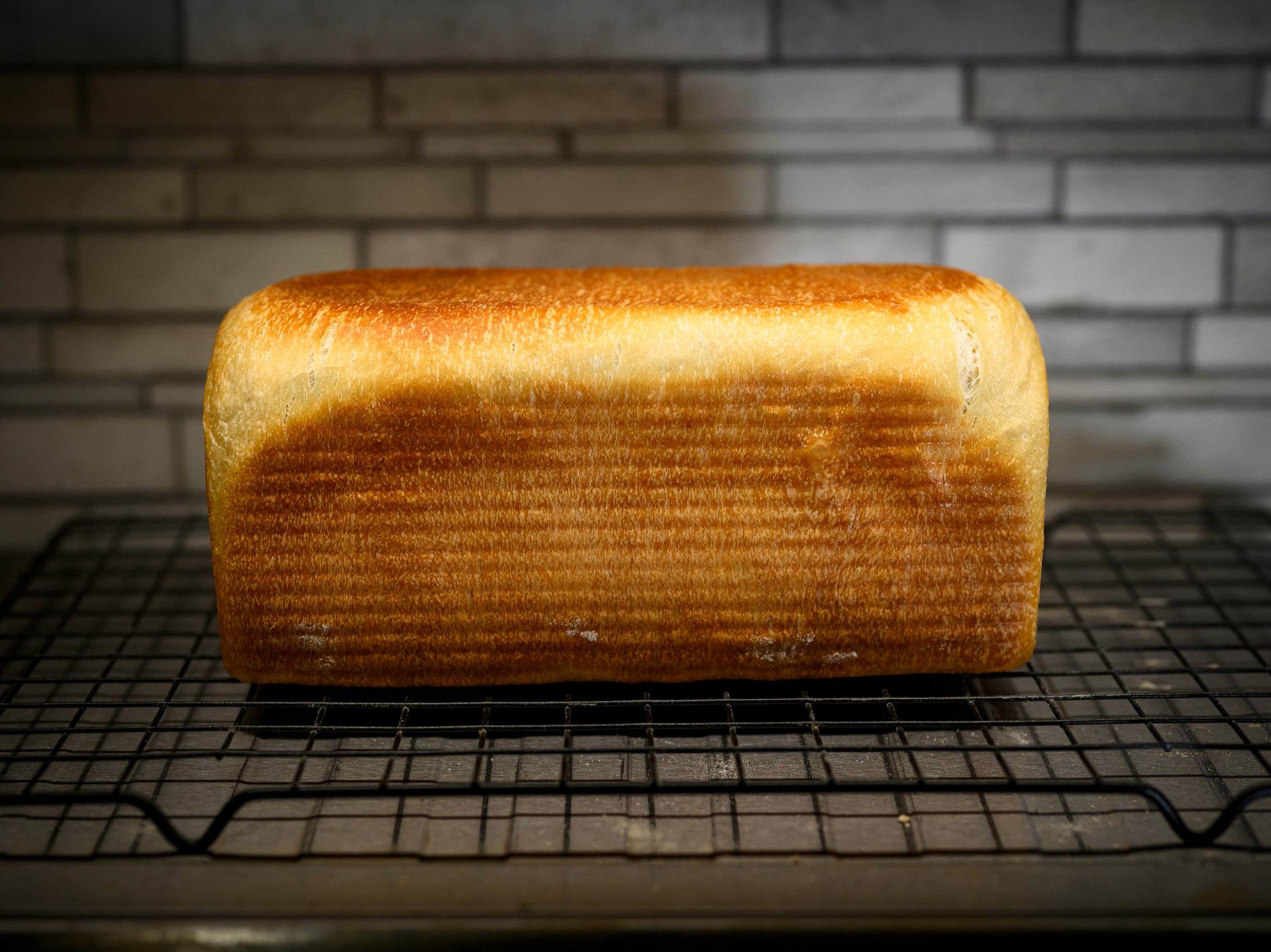 Golden Embrace — sourdough bake