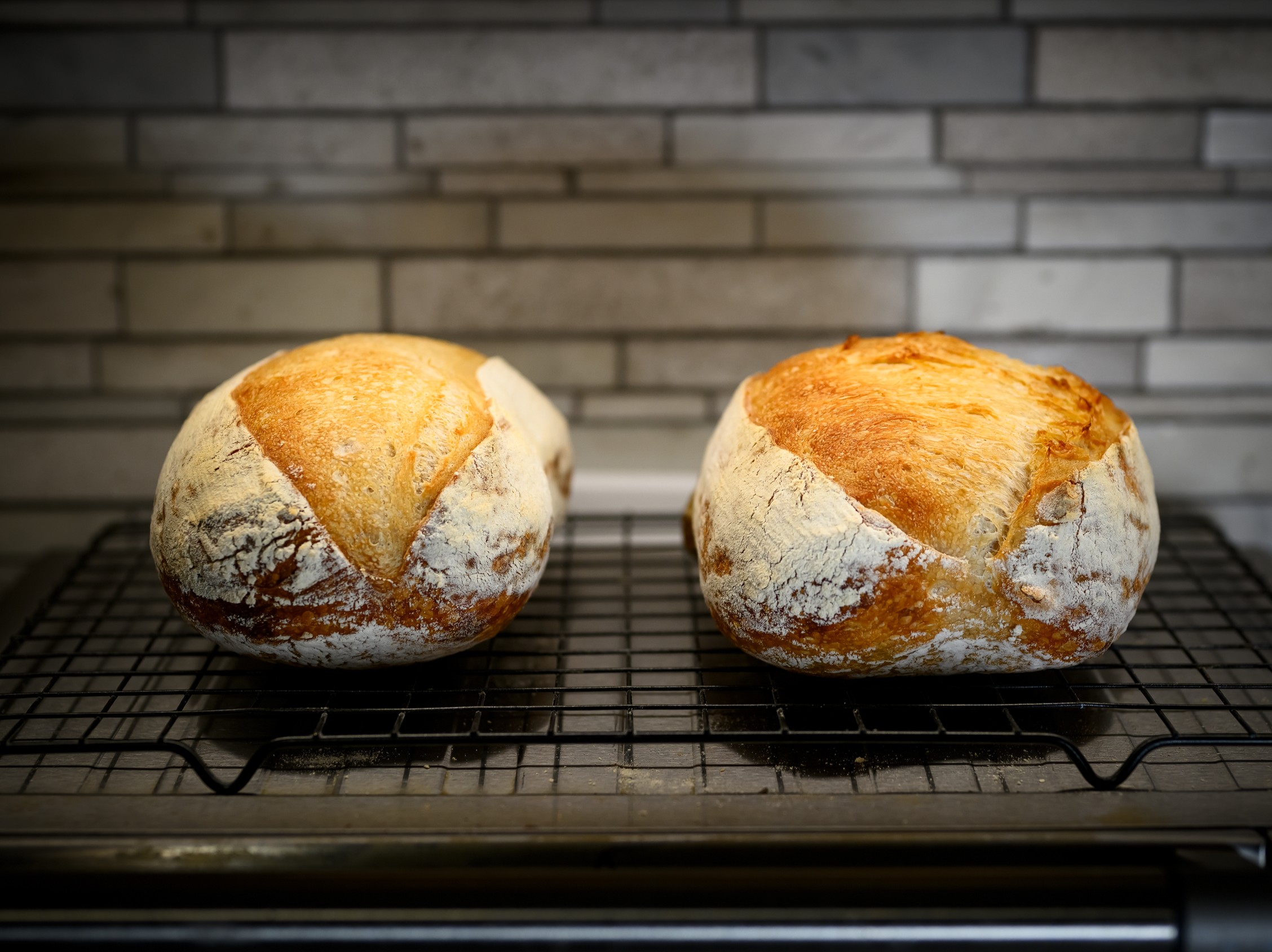 Twin Peaks of Fermentation — sourdough bake